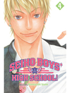 Cover image for Seiho Boys' High School!, Volume 4